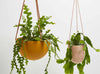 Capra Designs Hanging Plant pots with Leather Strap and clever drainage system. Available in Terrazzo.