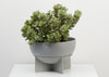 THE STONE DOME EROS PLANTER IS PERFECT FOR ARID PLANTS, LIKE A DRAPING RHIPSALIS OR A COLLECTION OF CACTI PLANTED IN IT. Its feature four-footed plinth is actually the drip tray. It comes with a  tray.We ship worldwide. Free UK shipping over £30.