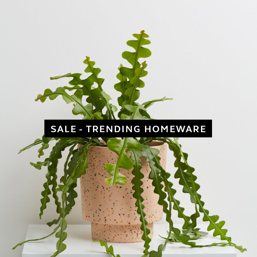 SALE - Trending Homeware Edit