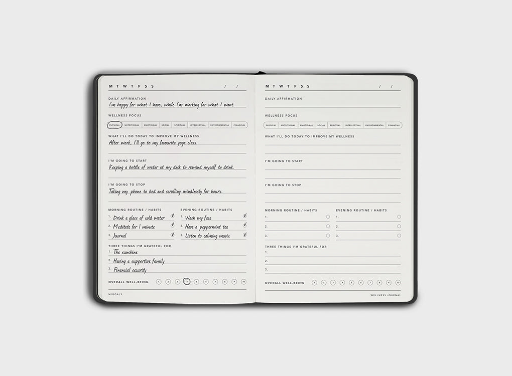 Example of how to use the Layout of the Wellness Journal by MiGoals