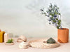 Capra Designs Fossil Terrazzo trays and keepsake jewellery boxes, orange planters and rainbow