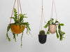 HANGING PLANTERS BY CAPRA DESIGNS. SKILLFULLY HAND MADE FROM A RESIN AND FINISHED WITH TAN LEATHER. Each planter has a hole in the bottom for drainage and a plug for convenience. Worldwide shipping. Free UK shipping over £30.