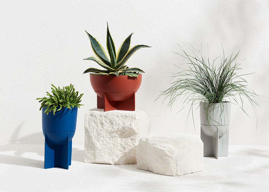 THE NEPTUNE DOME EROS PLANTER IS PERFECT FOR ARID PLANTS, LIKE A DRAPING RHIPSALIS OR A COLLECTION OF CACTI PLANTED IN IT. Its feature four-footed plinth is actually the drip tray. It comes with a  tray.We ship worldwide. Free UK shipping over £30.