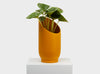 Large Summit Planter in golden orange by Capra Designs, housing a healthy plant.