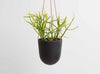 Hanging Planter, Block Colour in Midnight from Capra Designs. Hand made plant pot.