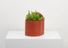 THE SOL PLANTER - TERRACOTTA IS DEFINITELY THE FLAGSHIP PRODUCT OF THE WONDERFUL SOL COLLECTION. Its feature sun shape allows you to face your planter in many ways, depending on the type of foliage you choose and the way you want to display it. It comes with a tray. Worldwide shipping. Free UK shipping.