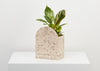 THE SOL PLANTER - FOSSIL TERRAZZO IS DEFINITELY THE FLAGSHIP PRODUCT OF THE WONDERFUL SOL COLLECTION. Its feature sun shape allows you to face your planter in many ways, depending on the type of foliage you choose and the way you want to display it. It comes with a tray. Worldwide shipping. Free UK shipping.