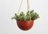 The TERRACOTTA BLOCK COLOR DOME HANGING PLANTER IS SKILLFULLY HAND MADE FROM RESIN AND FINISHED WITH TAN LEATHER The planter has a hole in the bottom for drainage and a plug for convenience. Designed in Australia. Worldwide shipping. Free UK shipping.