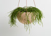 CAPRA DESIGNS SALT TERRAZZO DOME HANGING PLANTER IS SKILLFULLY HAND MADE FROM RESIN AND FINISHED WITH TAN LEATHER. Each planter has a hole in the bottom for drainage and a plug for convenience. Worldwide shipping. Free UK shipping.