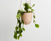 Capra Designs | Terrazzo Hanging Planter