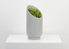 THE SMALL SUMMIT PLANTER HAS BEEN DESIGNED TO PROVIDE AN ORIGINAL BACKDROP FOR YOUR PLANTS. Perfectly suitable for cascading foliage to reveal the resin at the back. The sculptural sliced silhouette creates a unique planter you can angle in any directions, depending on how much light your plant needs. It comes with a tray. 3 colours available. We ship worldwide. Free UK shipping over £30